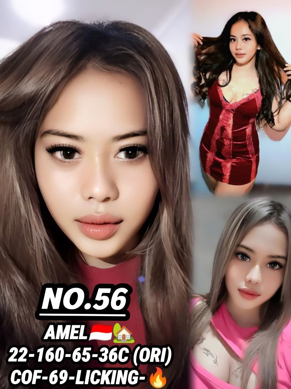 56 Amel JB Escort Model