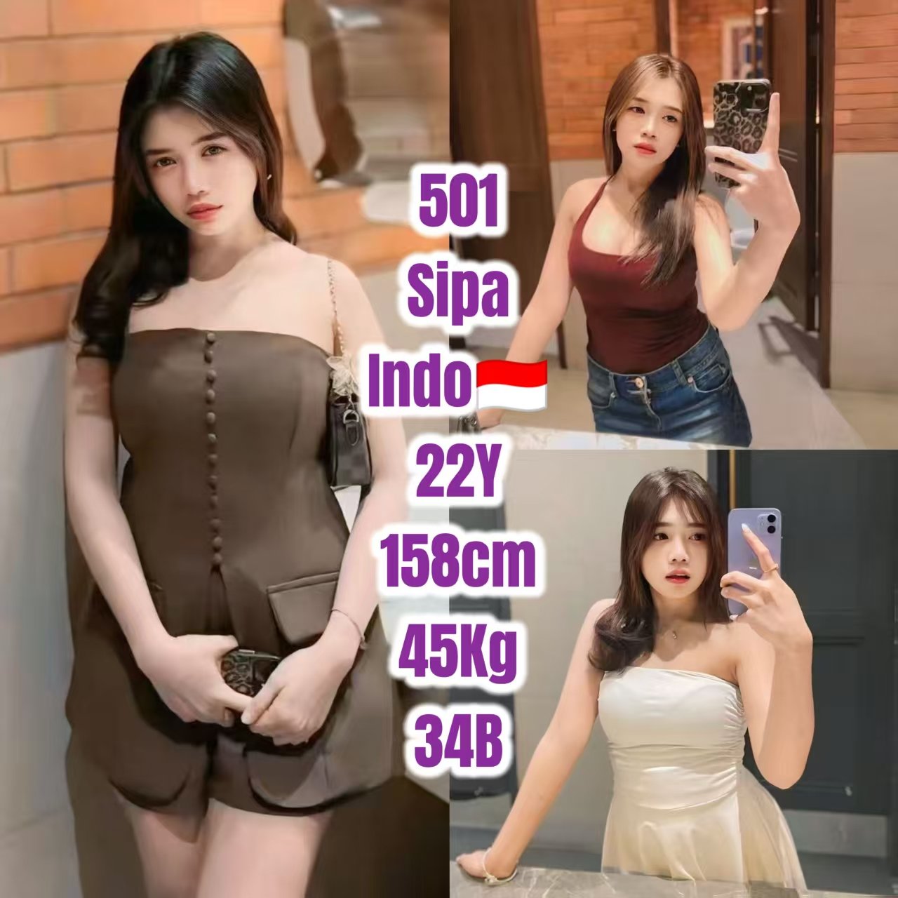 501 Sipa JB Escort Model