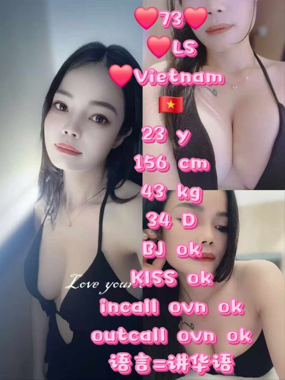 73 LS JB Escort Model