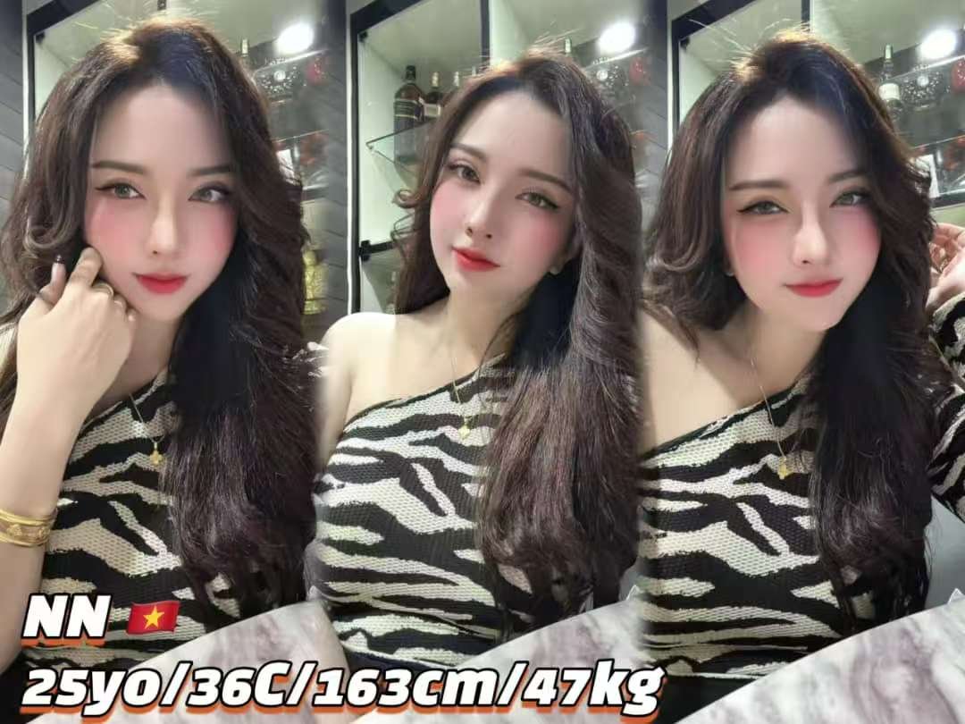 NN JB Escort Model