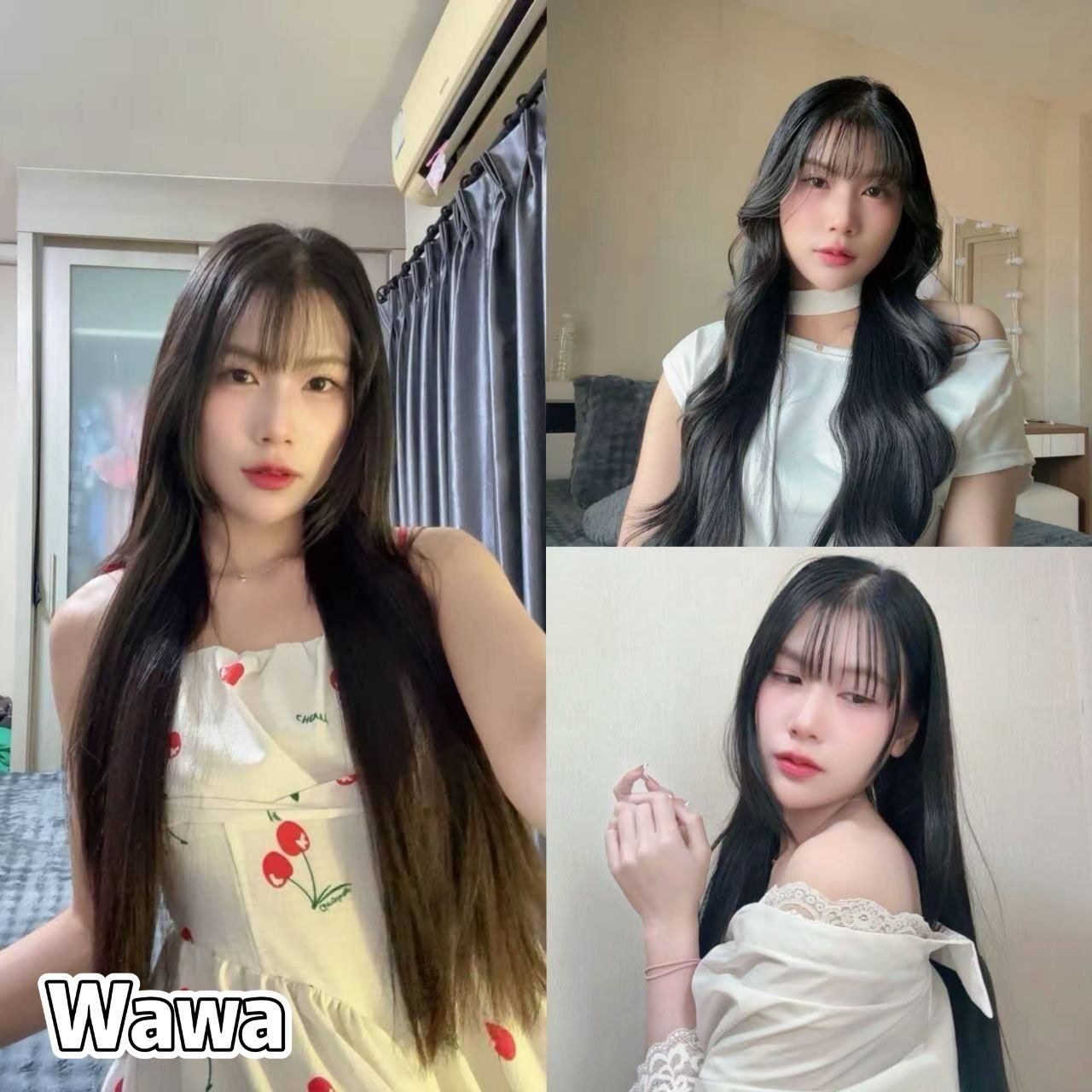 Wawa JB Escort Model