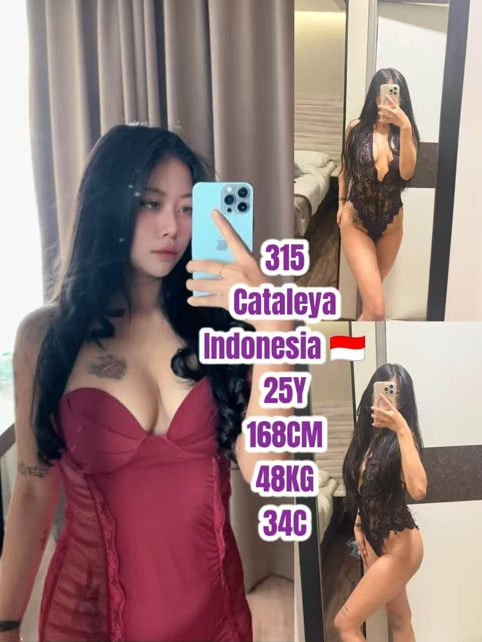 315 Cataleya